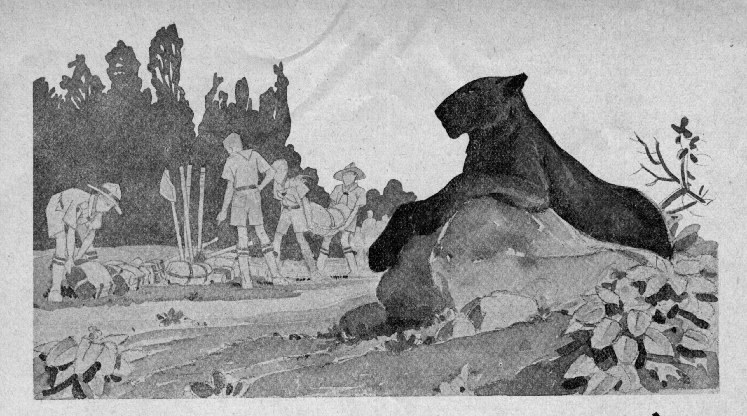 Le tigre et sa panthère : SCOUT 26 de 1935