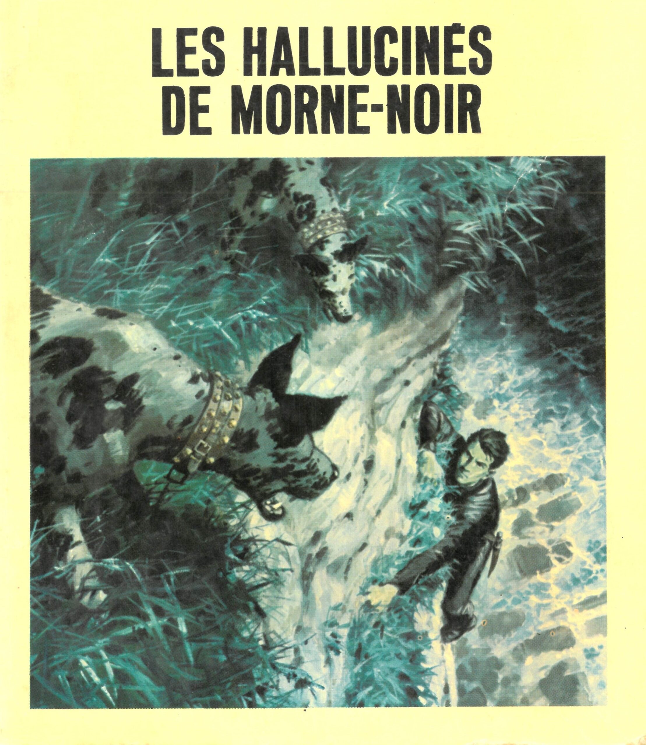 P8 Les Hallucinés de Morne-Noir (KC 2)