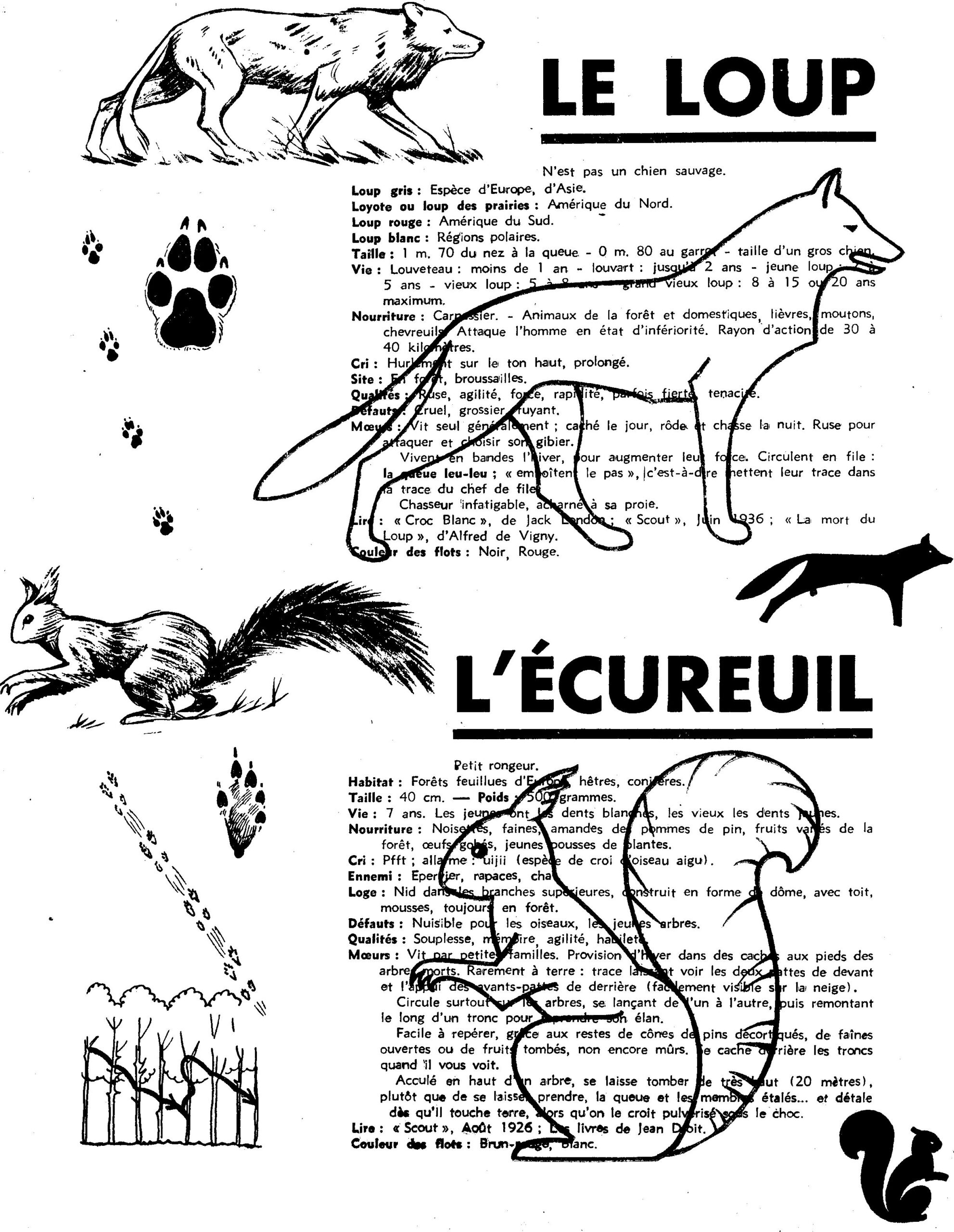 De quelle patrouille es-tu? Le loup- L’écureuil  : SCOUT 167 de 1941