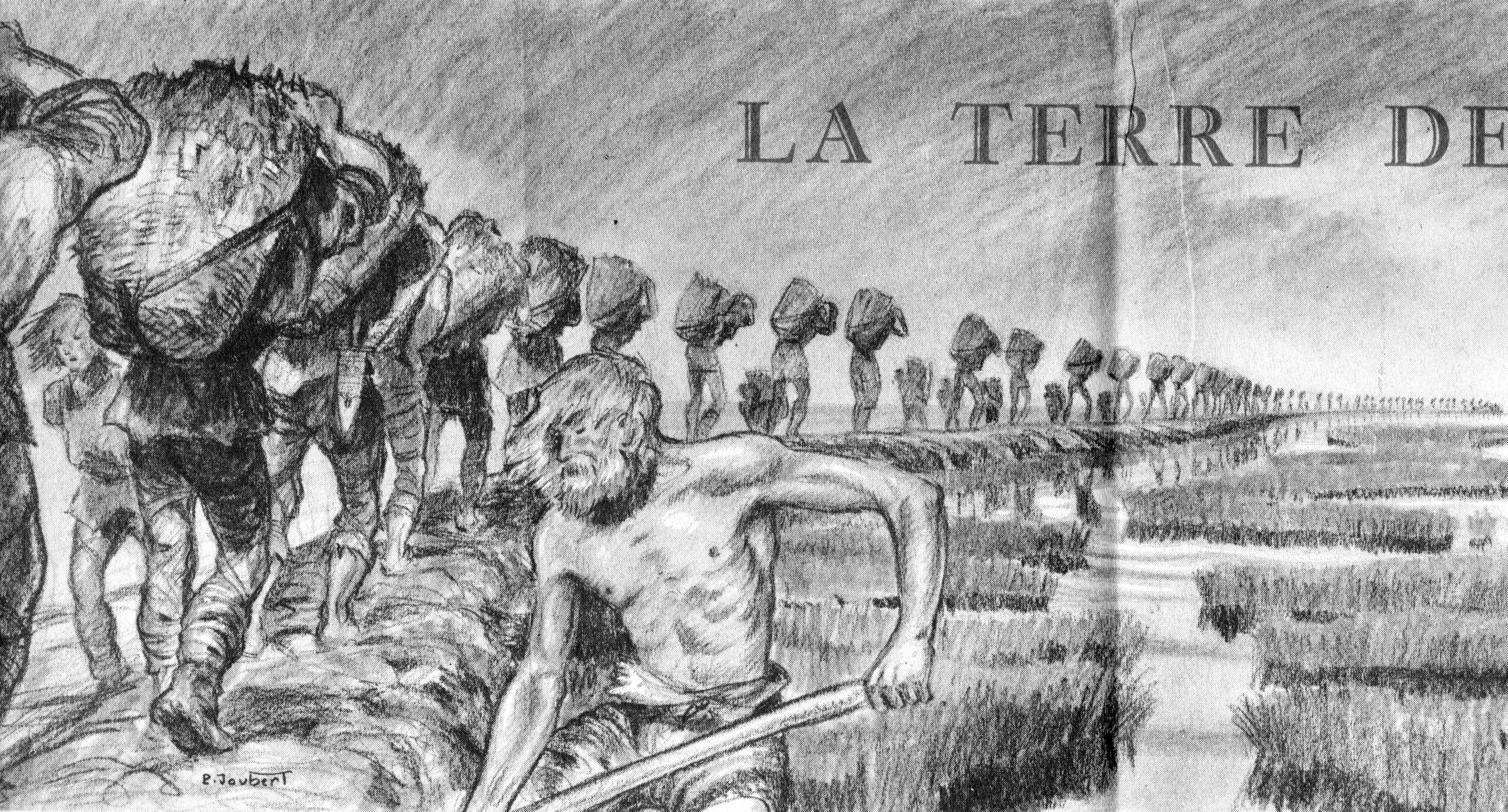 La Terre des Bataves :  SCOUT 281 de 1953
