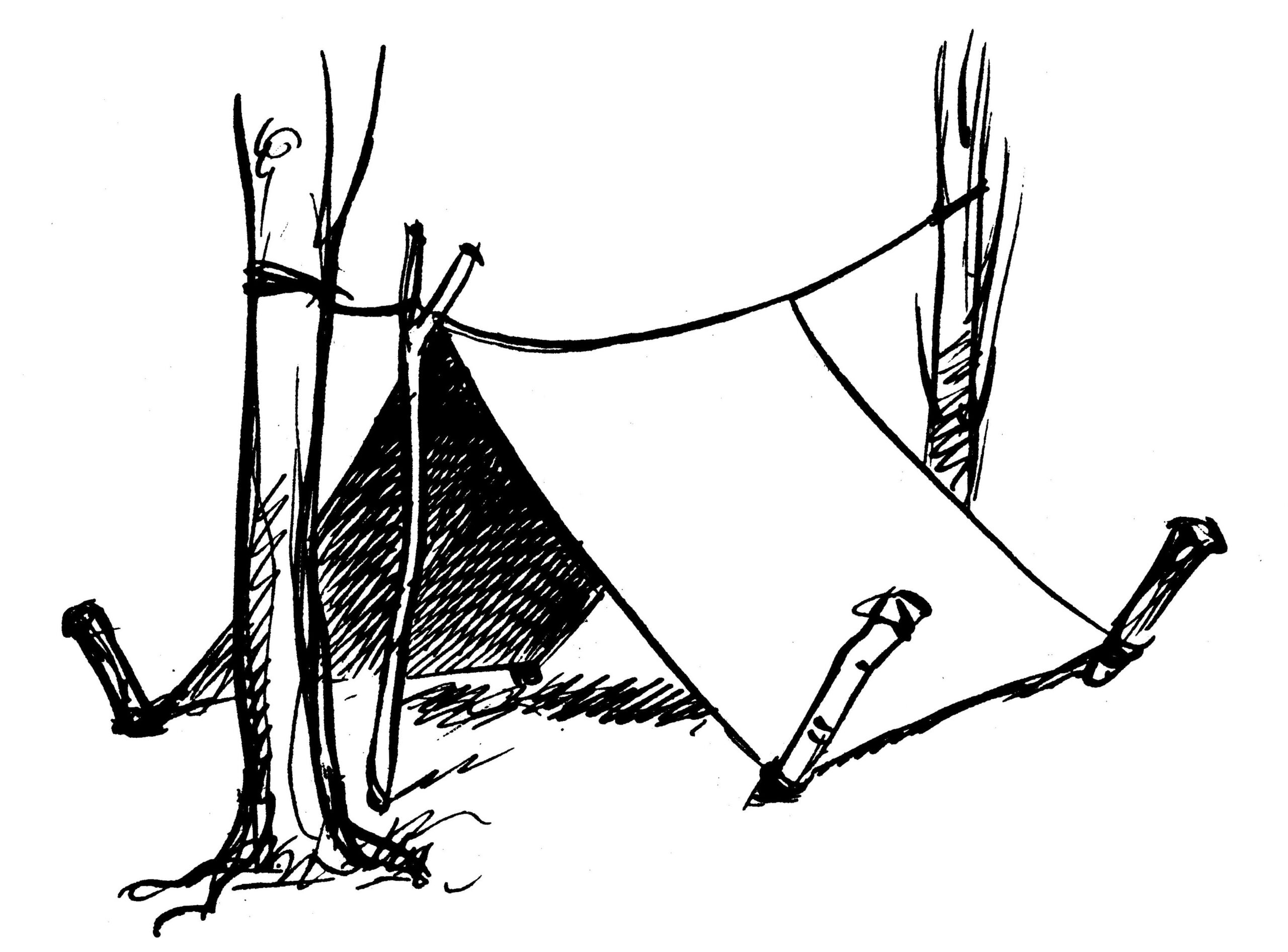 Camp sauvage :  SCOUT 262 de 1951